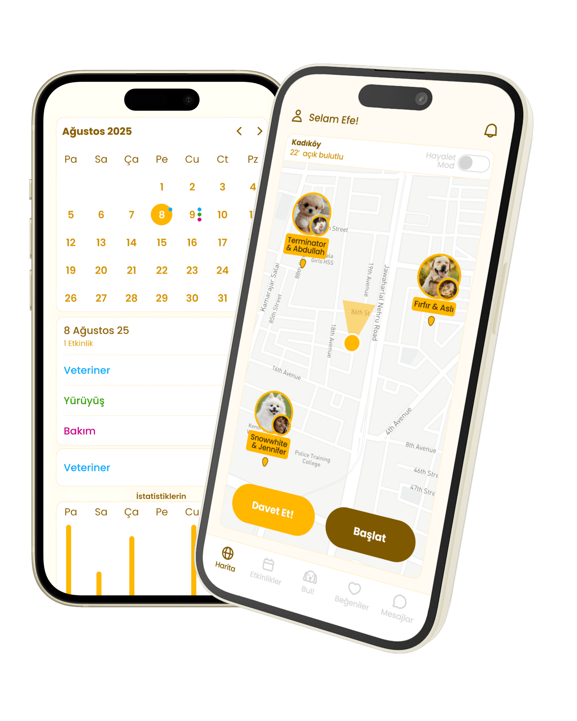 Application Screenshot